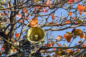 Ảnh minh họa: NGUYỄN DO