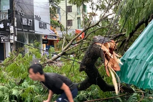 Hàng loạt cột điện ở Huế bị gãy, cúp điện cả tỉnh