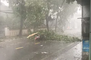 1 chuyên viên phòng GD&ĐT tử vong do bão số 5