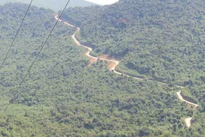 Vụ thủy điện Rào Trăng 3: Đang liên hệ trực thăng để bay vào