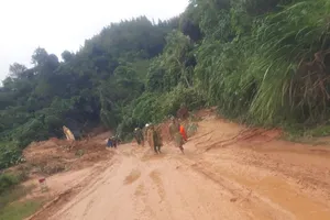 12 người 'cắt' rừng vào nơi Đại úy công an đi cứu nạn tử vong