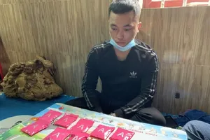 Quảng Bình: Phá chuyên án, thu giữ hơn 2.000 viên ma túy