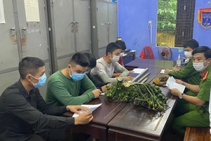 Nhóm trộm cau quay lại hành hung vì chủ nhà đi báo công an