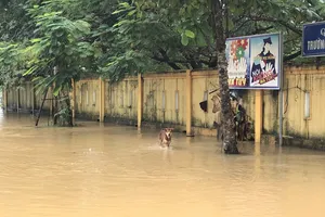 Nhiều nơi ở TP Đông Hà ngập sâu, di tản học sinh