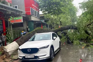 Ngập úng, giao thông chia cắt do mưa lũ bất thường ở Quảng Trị, Huế