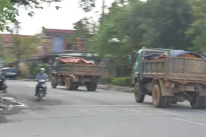 Xe quá tải tung hoành, Quảng Trị chỉ đạo khẩn để xử lý