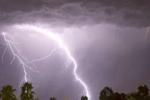 Người đàn ông đi chăn vịt bị sét đánh tử vong