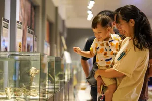 Du khách thích thú với triển lãm hóa thạch tại Huế