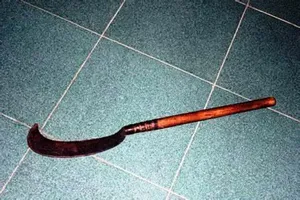 Con tâm thần chém mẹ tử vong