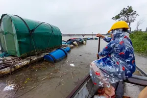 Chùm ảnh: Người dân Thừa Thiên - Huế neo lồng bè bảo vệ cá trước lũ