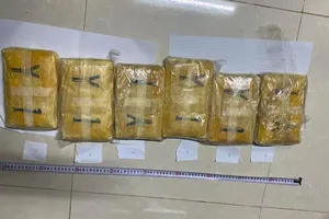  2 thanh niên tàng trữ 54.000 viên ma túy