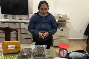 Công an bắt 2 vụ ma túy, thu giữ nhiều kg cần sa