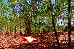 2 vợ chồng trẻ tử vong trên rẫy