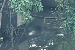 Phát hiện thi thể nam thanh niên dưới sông ở Huế