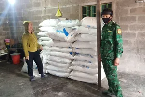 Biên phòng Quảng Trị bắt 3 vụ vận chuyển, tàng trữ đường lậu