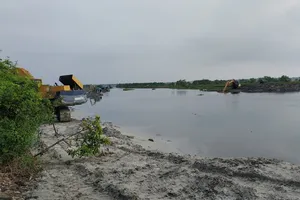 Vụ rừng ngập mặn bị san ủi: Tiến hành kiểm điểm tập thể, cá nhân