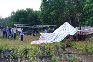 Nghi Phó hiệu trưởng bỏ ô tô trước nghĩa địa rồi tự thiêu