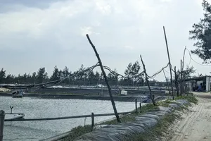 Quảng Trị: Làng yêu cầu chủ hồ tôm không ủng hộ tiền sẽ bị thu hồi đất đã mượn