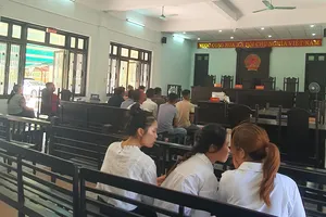 Chánh án tỉnh Thừa Thiên-Huế yêu cầu báo cáo vụ tòa phải hoãn xử vì bị hại bỏ về