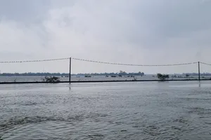 Người đàn ông tử vong khi chèo thuyền đi tìm đàn vịt. Ảnh: ND.