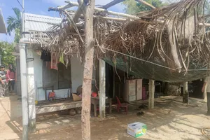 Cháu bé hơn 1 tuổi ở Huế bị trâu húc tử vong