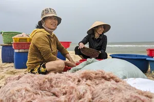 Ngư dân Quảng Trị trúng ruốc trước ngày biển động