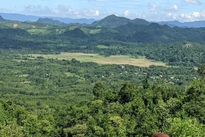 Quảng Trị nhận hơn 51 tỉ đồng tiền bán tín chỉ carbon từ rừng xanh.