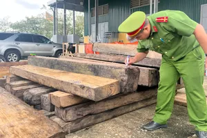 1 cán bộ kiểm lâm bị bắt vì liên quan đến vụ vận chuyển lâm sản trái phép