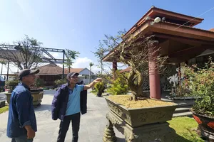 Phiên chợ thu hút đông đảo người đam mê mai Huế