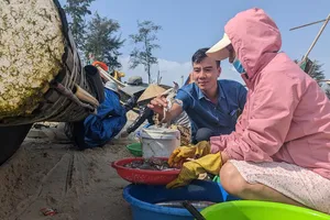 Ngư dân phấn khởi với 'lộc biển' đầu năm