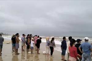 Cứu 4 ngư dân bị chìm ghe tại vùng biển Thừa Thiên Huế