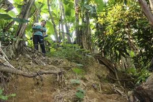 Người dân mất ăn mất ngủ vì sông Thạch Hãn sạt lở.