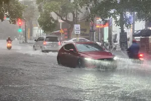 Mưa lớn ở Quảng Trị, đường ngập, nhiều ha lúa sắp thu hoạch bị ngã rạp