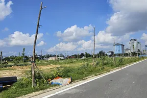 Hàng trăm cây xanh tại dự án đô thị xanh ở Huế mới trồng đã chết khô