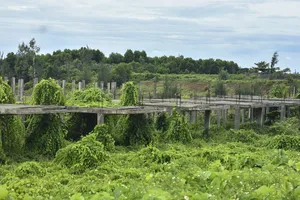 Quảng Trị gia hạn tiến độ dự án đô thị sinh thái biển gần 500 tỉ đồng 