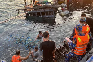 Đâm vào tàu hàng, tàu cá chở 11 ngư dân bị chìm trên biển