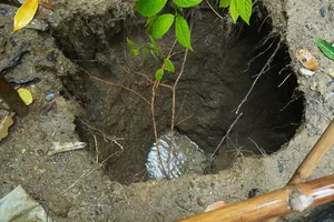 Xuất hiện hố sụt lún sau tiếng nổ lớn ở Quảng Trị