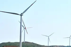Yêu cầu xử lý các dự án điện gió xây lấn chiếm đất rừng
