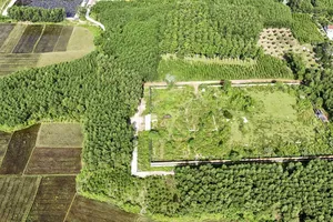 Cận cảnh điện thờ mẹ vua Gia Long trước khi được trùng tu