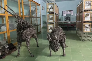 Độc lạ cặp 'Kỳ lân châu Á' được làm từ 5.000 bẫy thú rừng