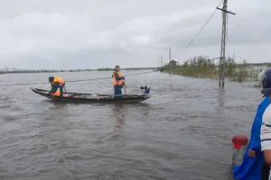2 người ở Thừa Thiên Huế tử vong trong bão Trà Mi