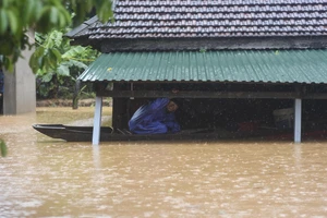 Dự báo mưa đến 1.000 mm, Thừa Thiên Huế đối diện với lũ lớn