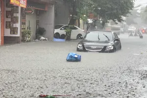 Quảng Trị: Mưa như trút nước trong thời gian ngắn, nhiều nơi ngập cục bộ