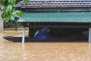 Thừa Thiên Huế vận hành liên hồ chứa để ứng phó bão Yinxing