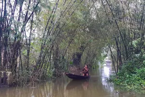 Mưa lớn ở thượng nguồn, lũ trên các sông ở Thừa Thiên Huế lên trở lại