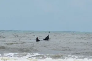 1 giờ vật lộn với sóng dữ, cứu 3 ngư dân chìm thuyền ở Quảng Trị