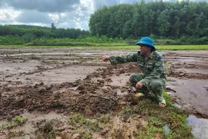 Bùn thải từ thi công cao tốc Vạn Ninh - Cam Lộ tràn ra ruộng của dân