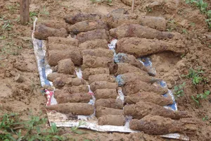 Phát hiện hầm đạn khi thi công lăng mộ