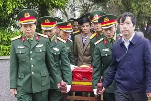 Từ tin báo của người dân, Quảng Trị tìm thấy 1 hài cốt liệt sĩ