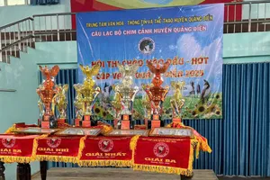 Huế: Yêu cầu báo cáo về hội thi chim chào mào ở huyện Quảng Điền